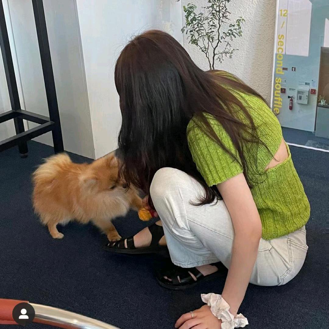 阳光灿烂的日子