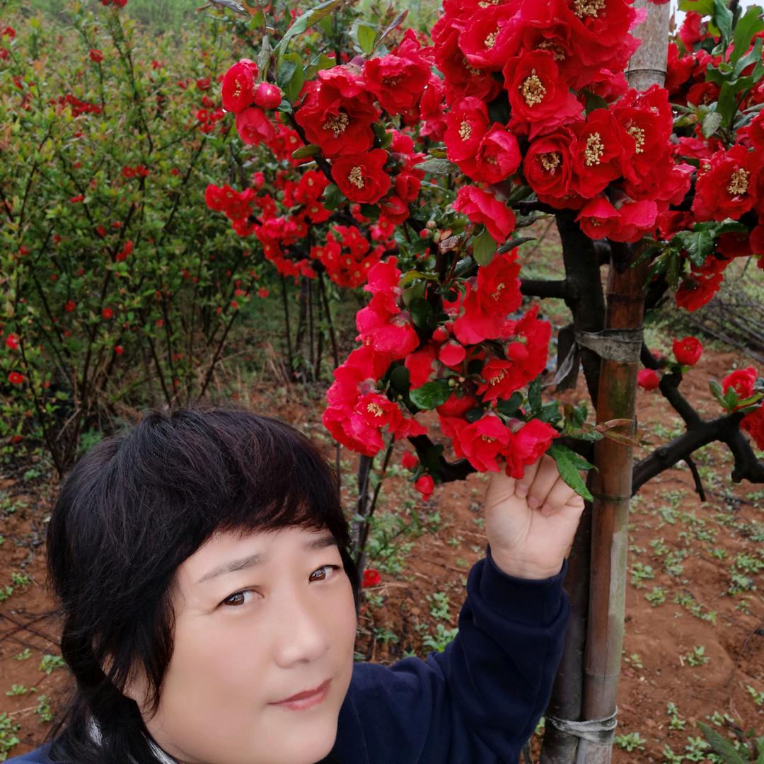沂蒙山秦姐