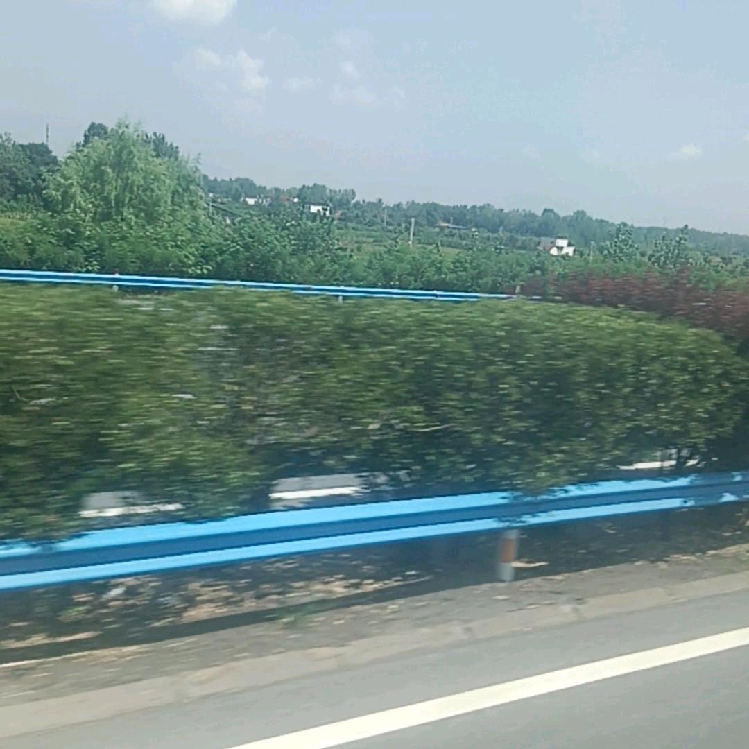 何爱