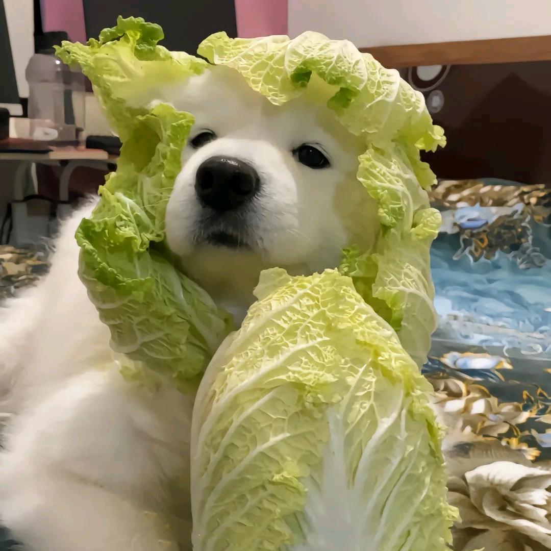 李-