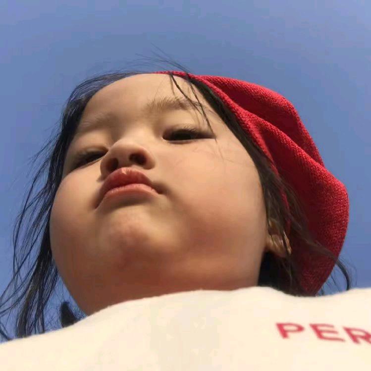 小熊猫追剧