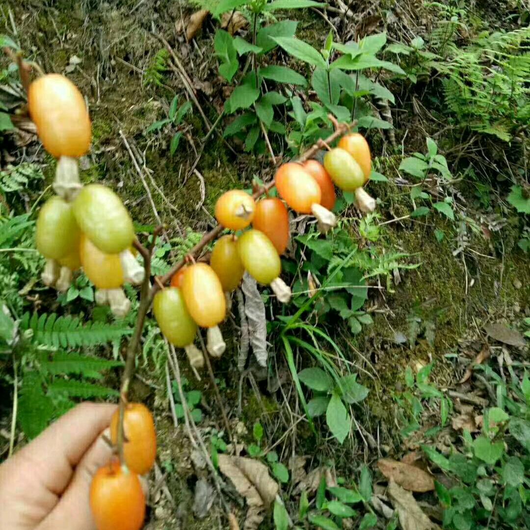 情已欠费爱已停机
