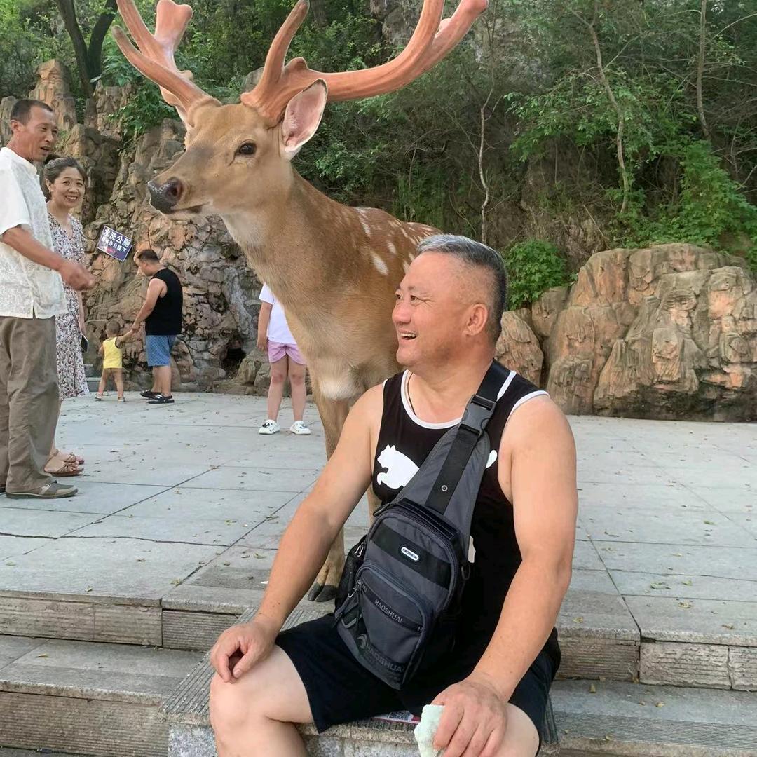 鹿王小飞侠