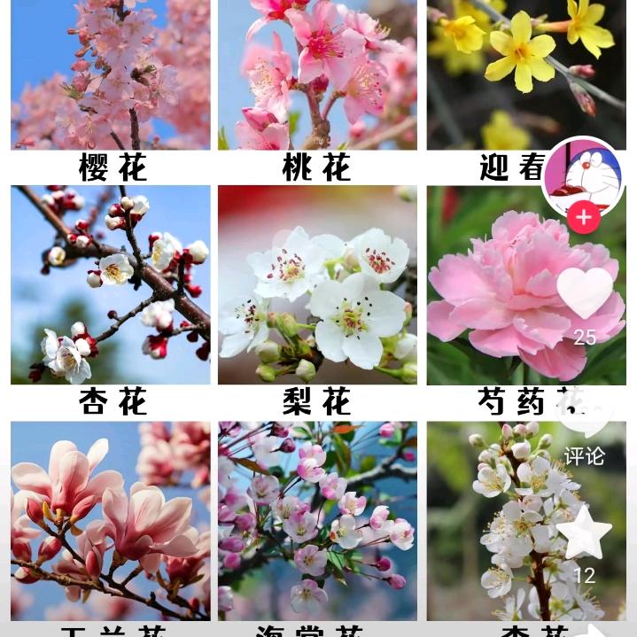 王md