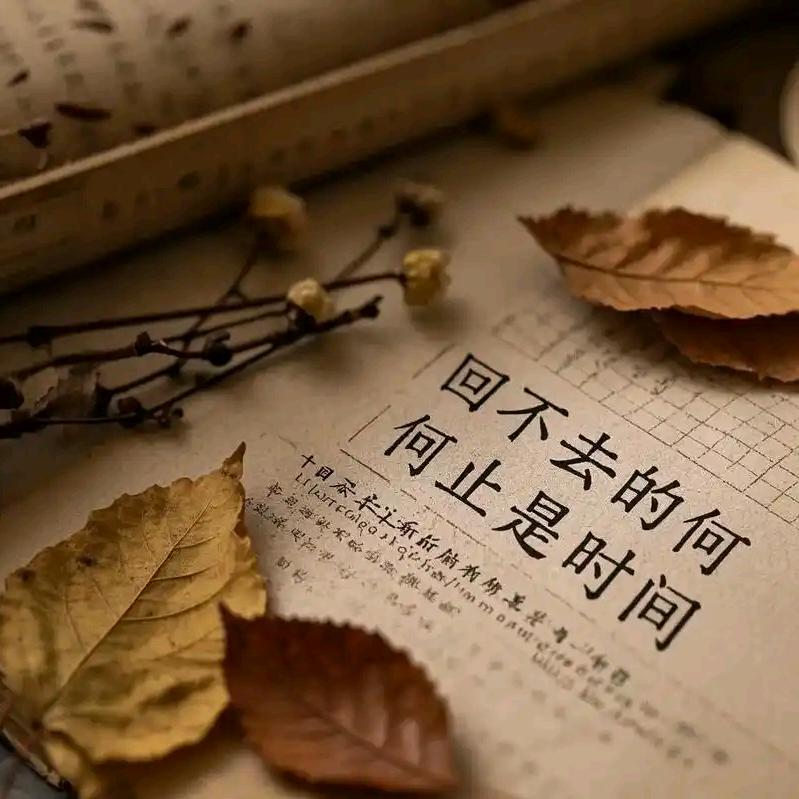 读万卷书📚