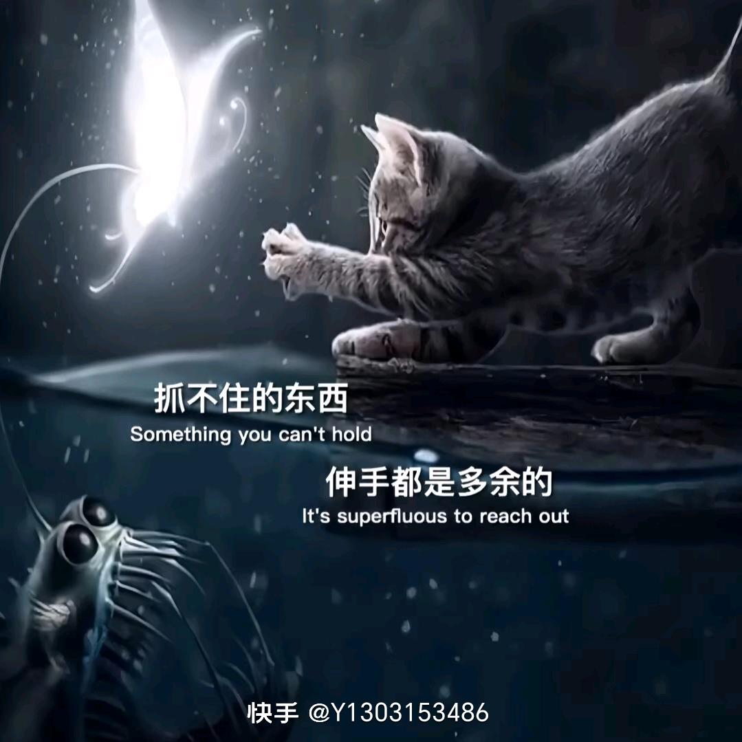yyq19980808