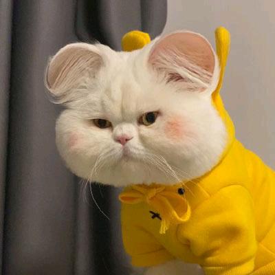 男能可贵