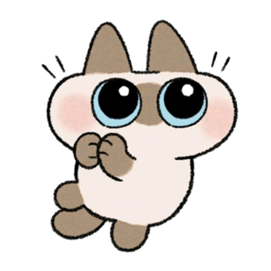 圆小异