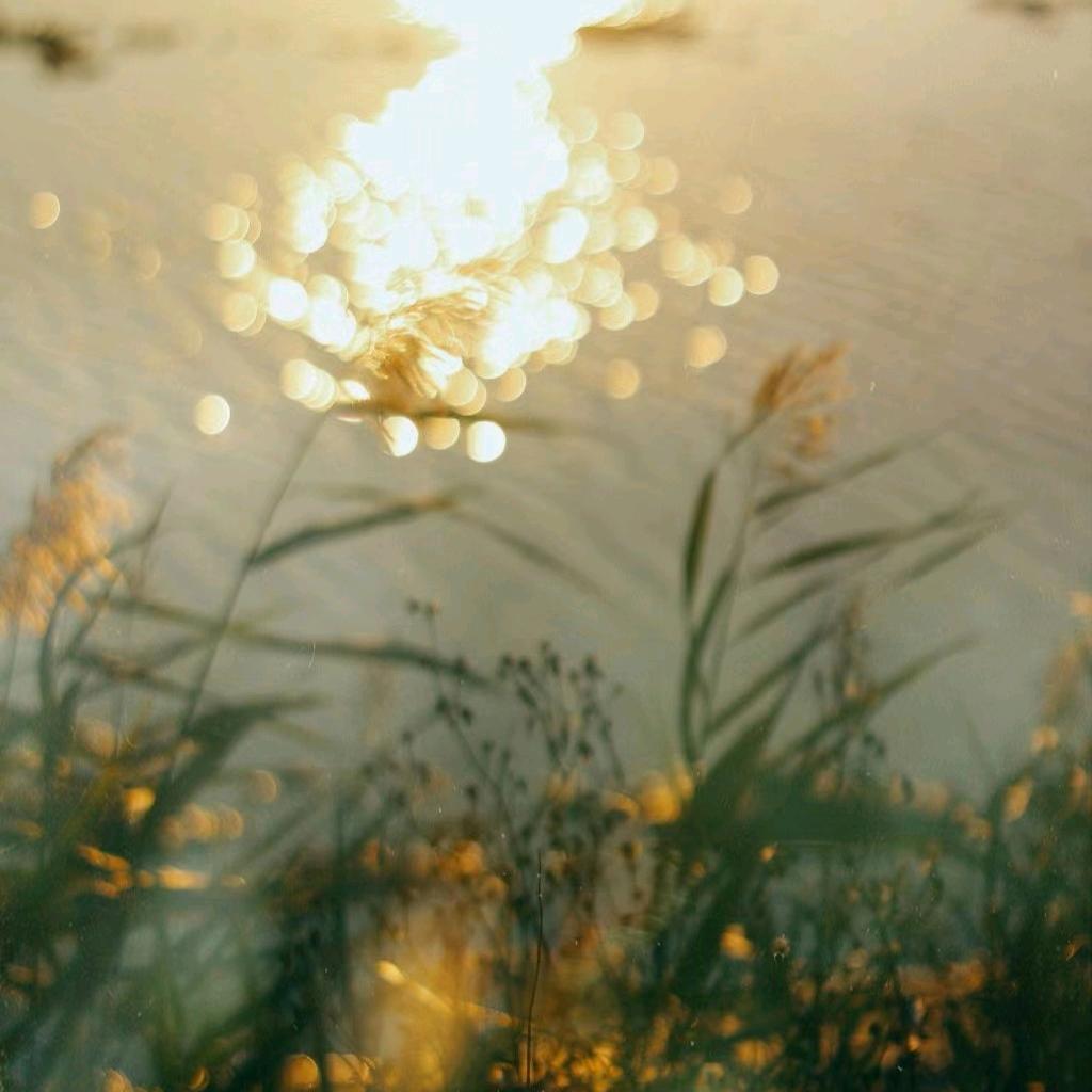 嘻嘻嘻嘻嘻嘻嘻嘻