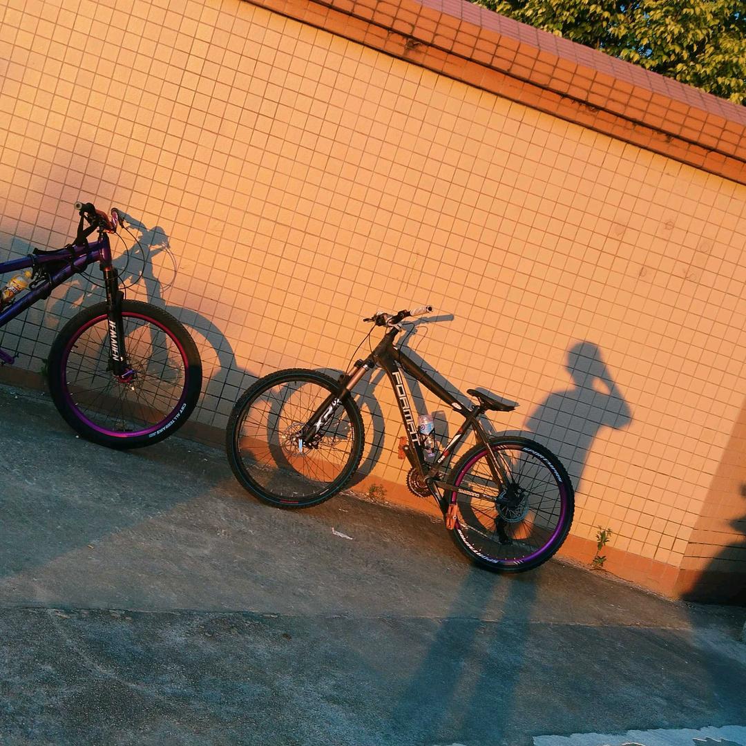 花菜讨厌封号😡