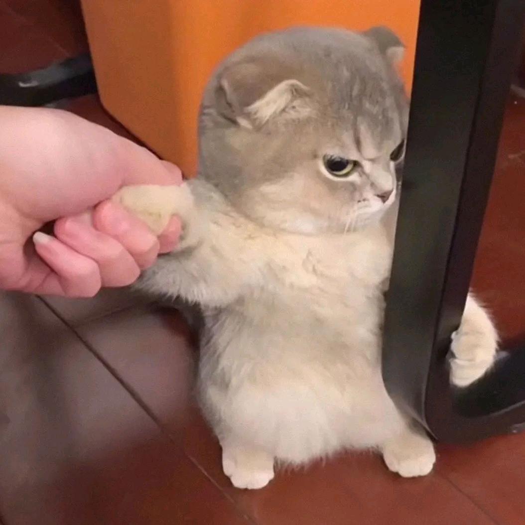 三角洲倒弹狂人