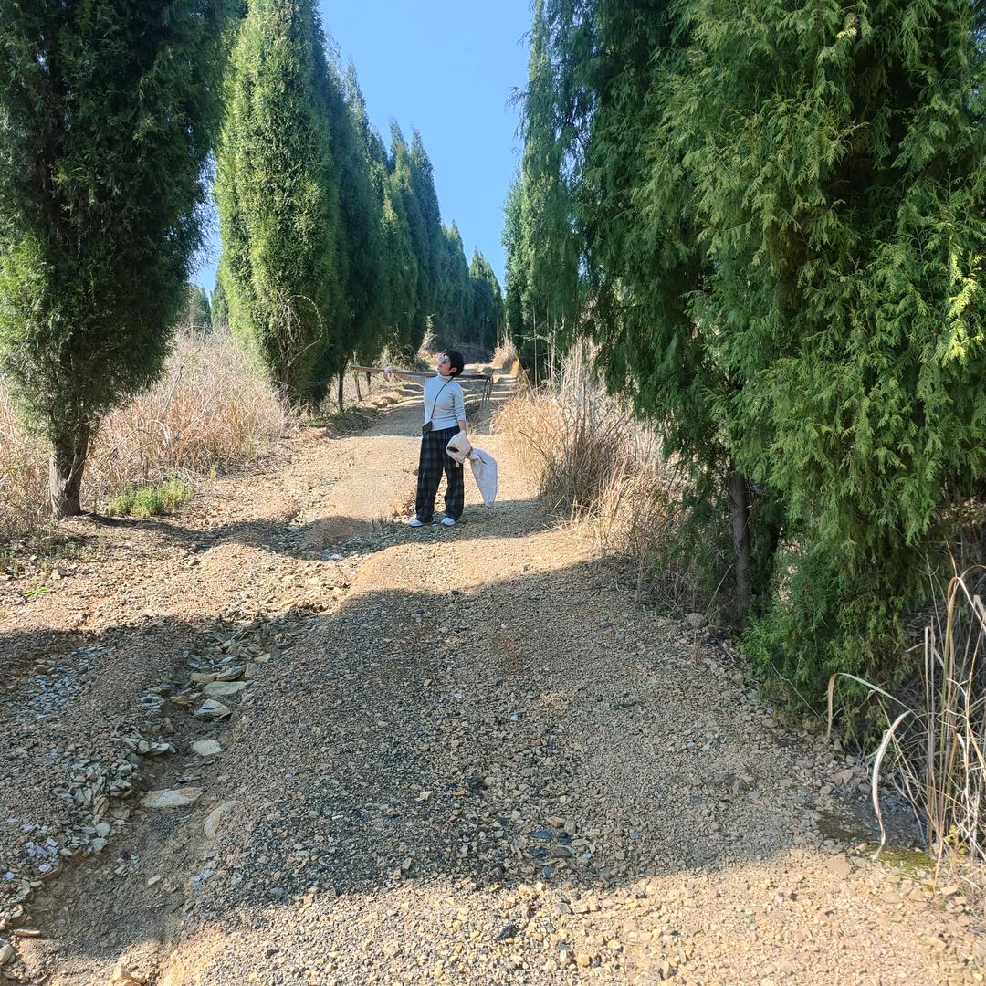山野刘妹子