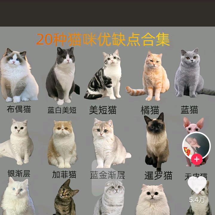 `:l