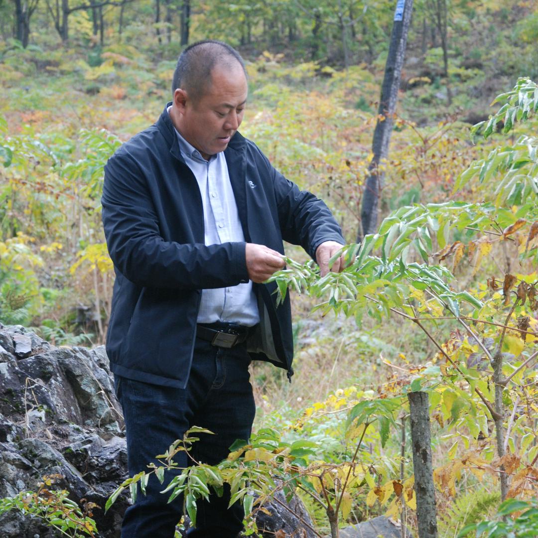 大美北沟刘永君