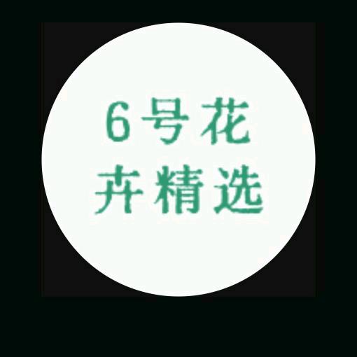 花伴水绿植