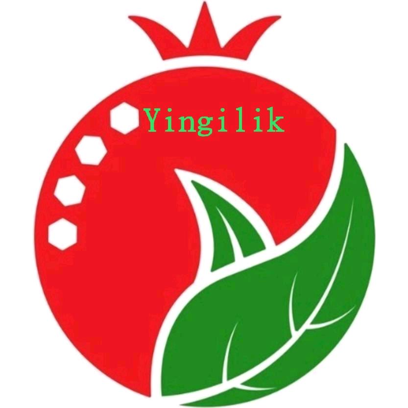 yingilik