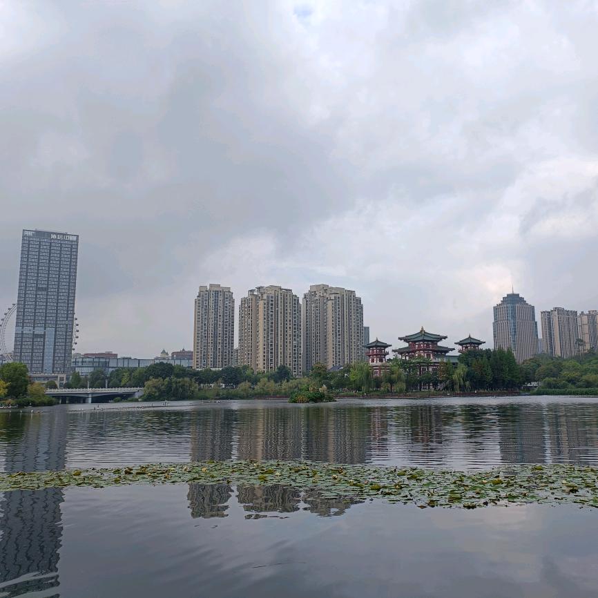 夕颜头像