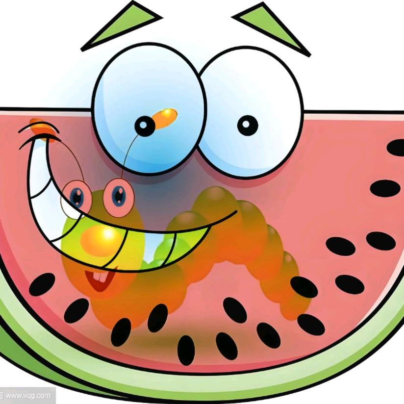 🍉西瓜啃虫虫🐛