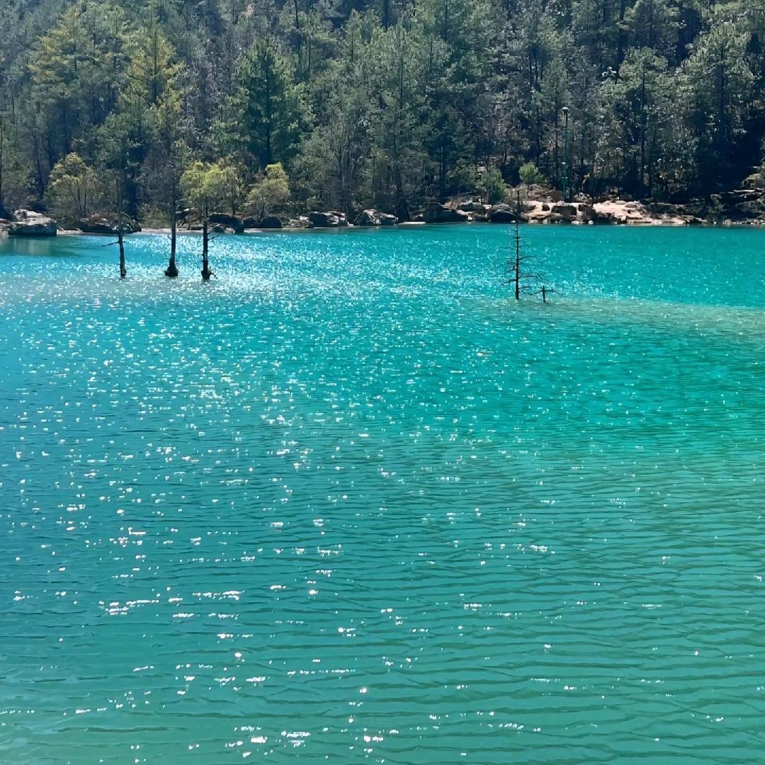 鑫淼（李新珠）