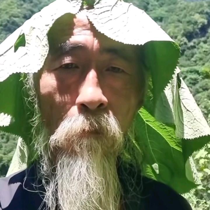 能不能去司