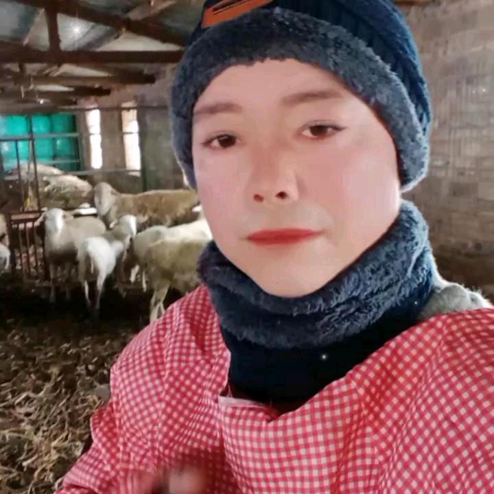 朱长河