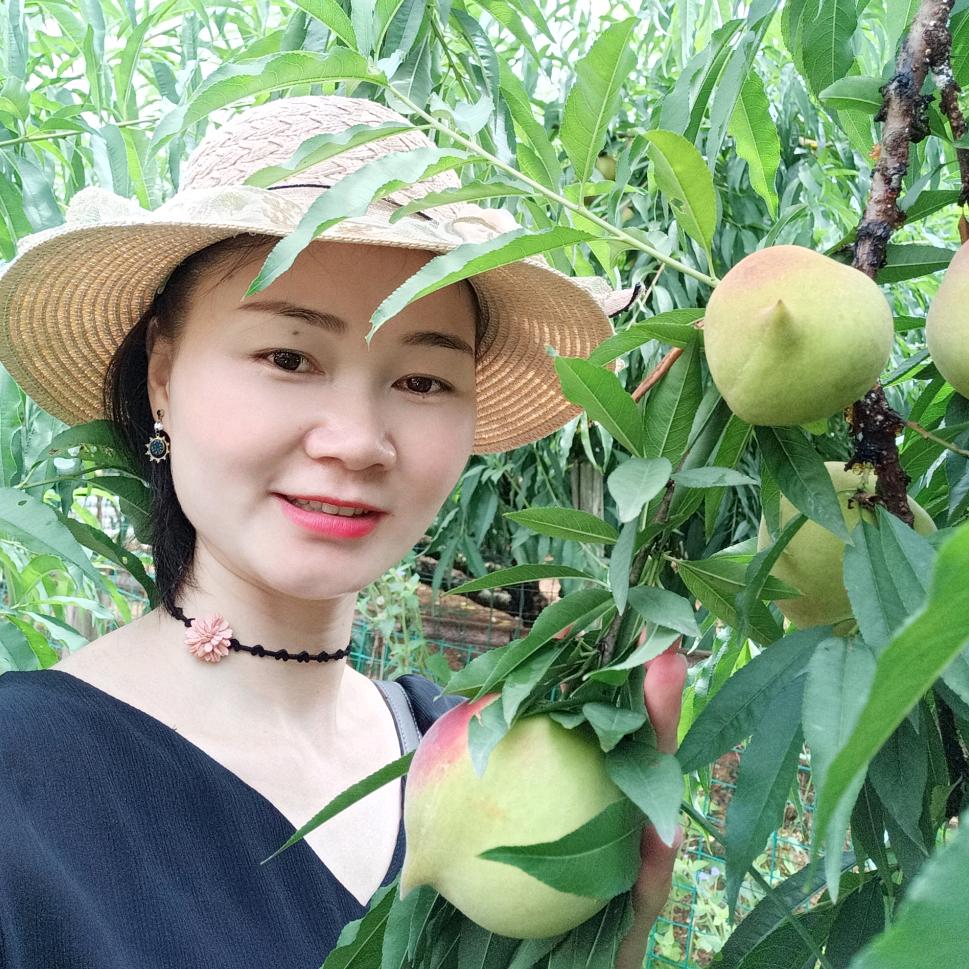 金燕子结婚、乔迁用品批发（龙都店）