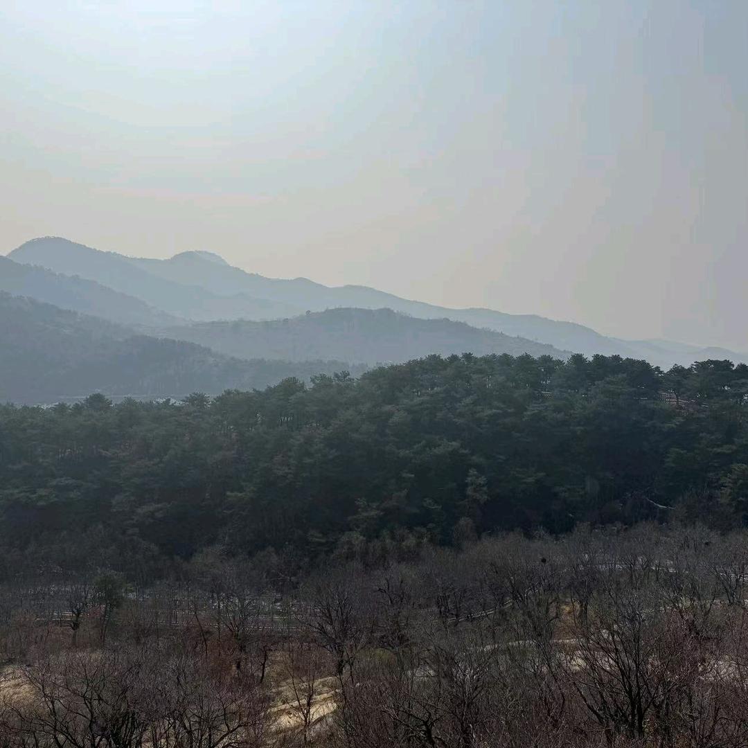 默陵直播002254号
