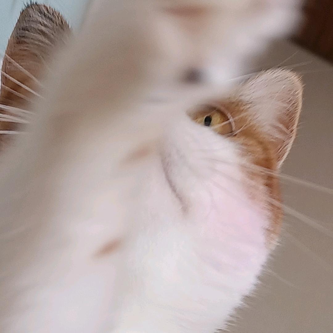 白日梦的举๑