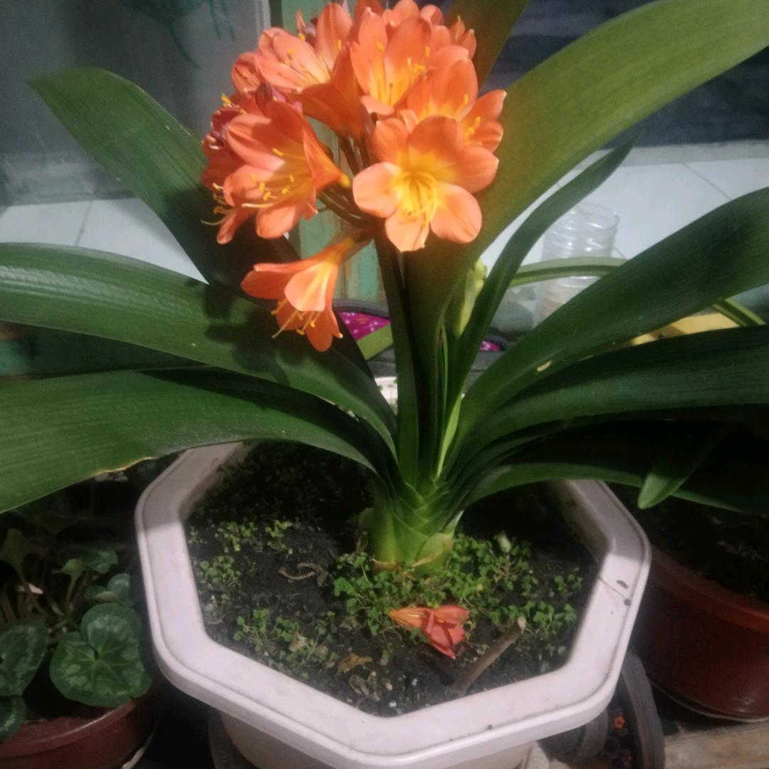 iDTFII1FTFf↑一TfiiT亻T