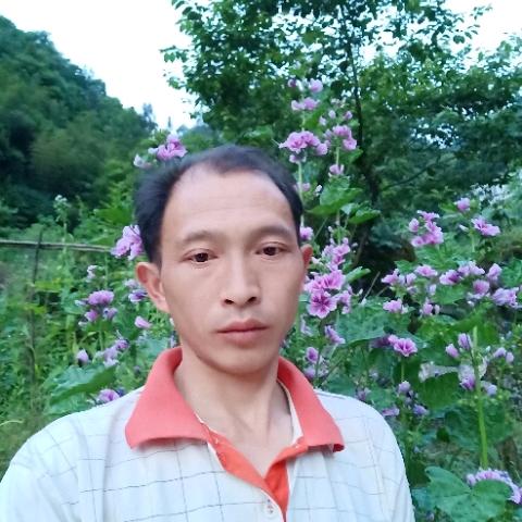 独臂大侠