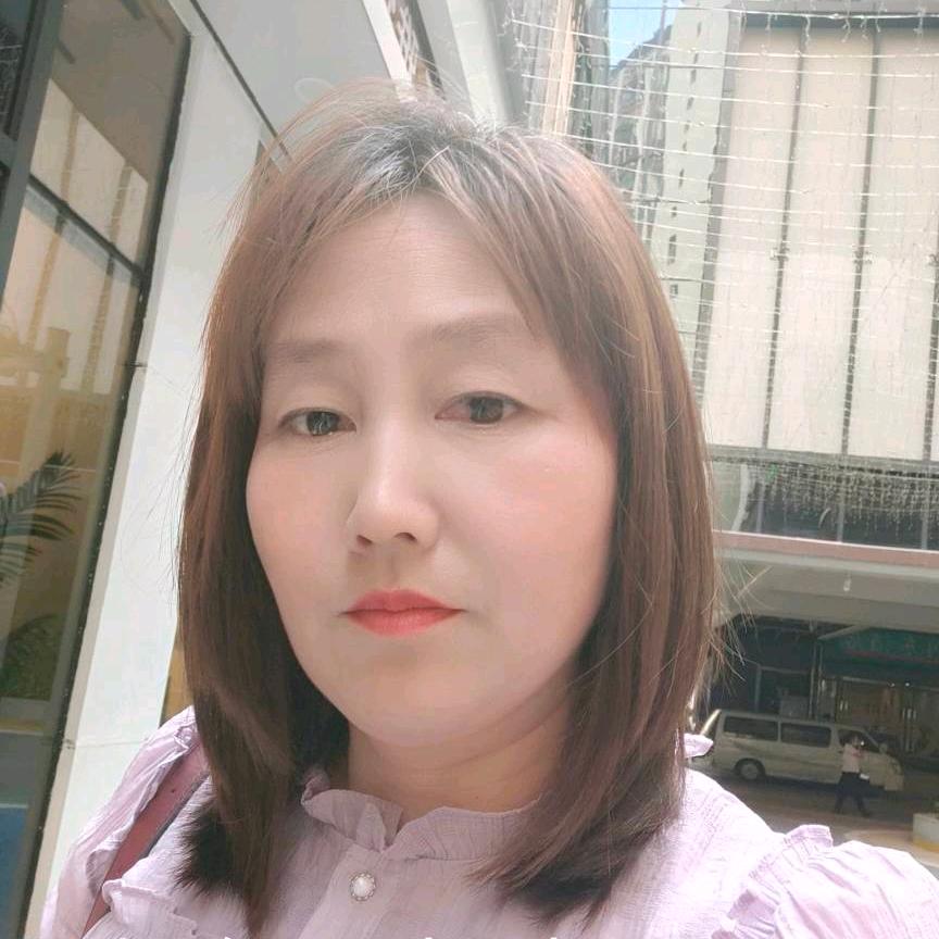孤单的大燕往南飞