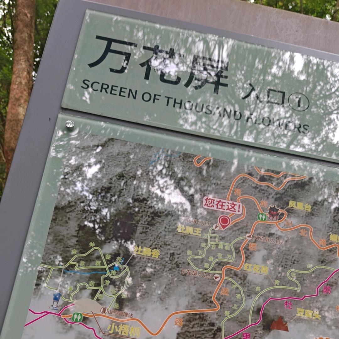 ─╄初见灬