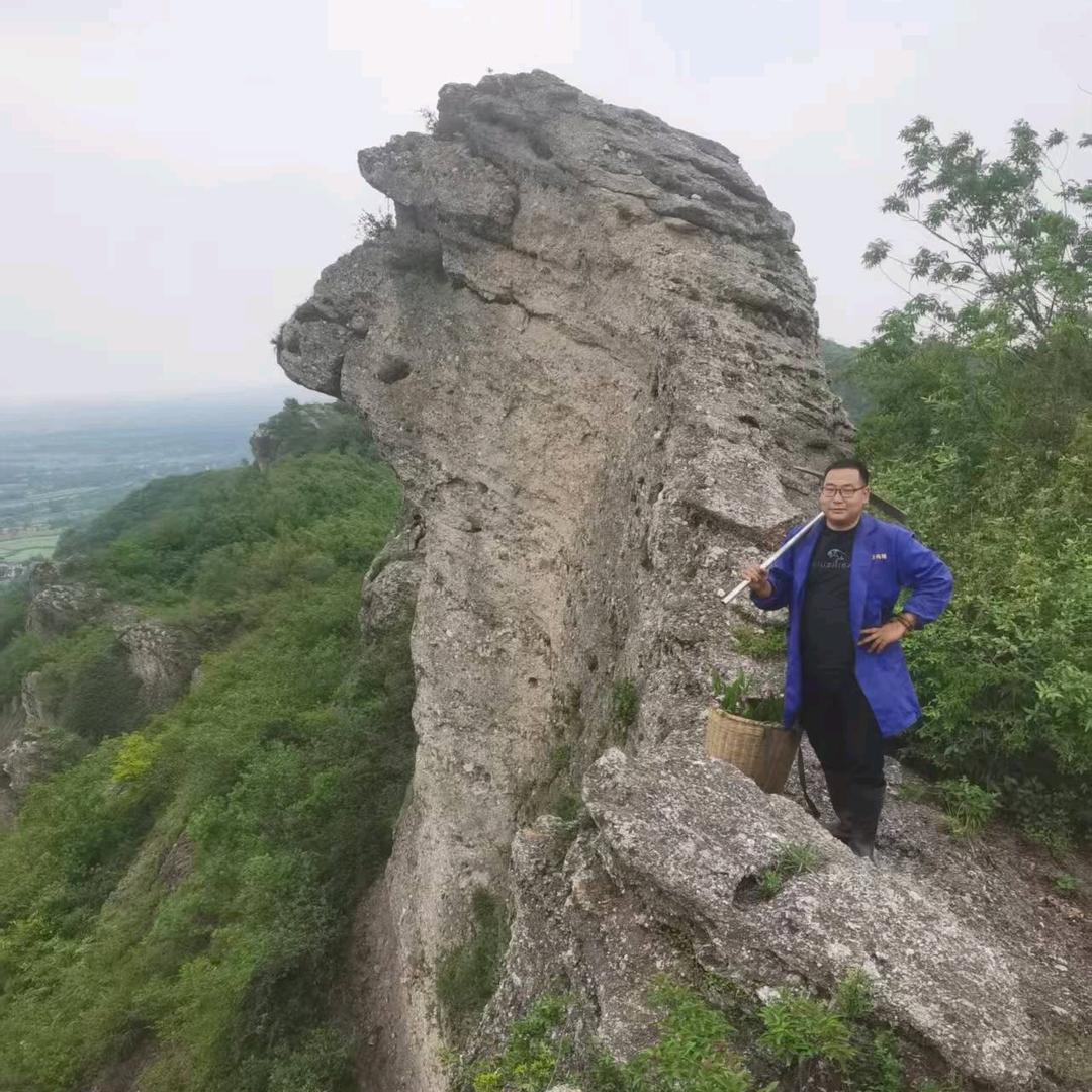 庐江山哥山货