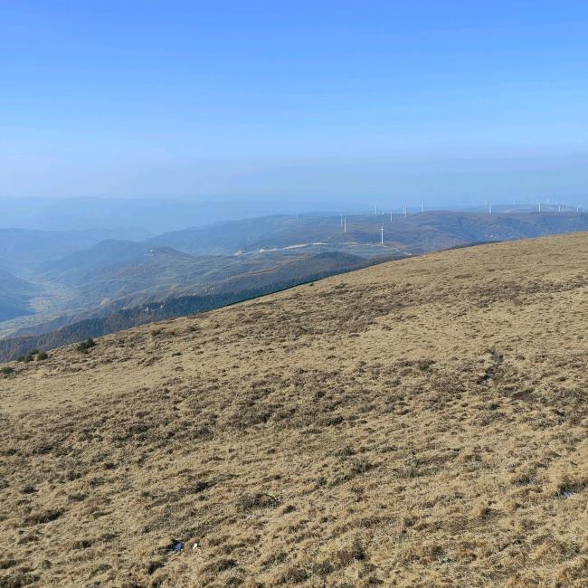 『WT❤️』勾栏听曲