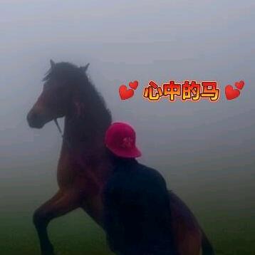 骑手彭措🚶