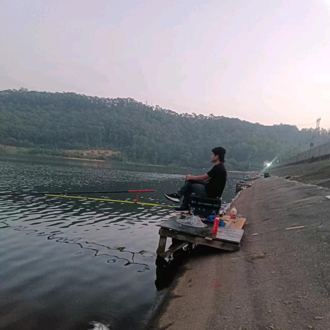 游钓东莞黑坑大青鱼