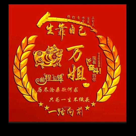 千寻视界666