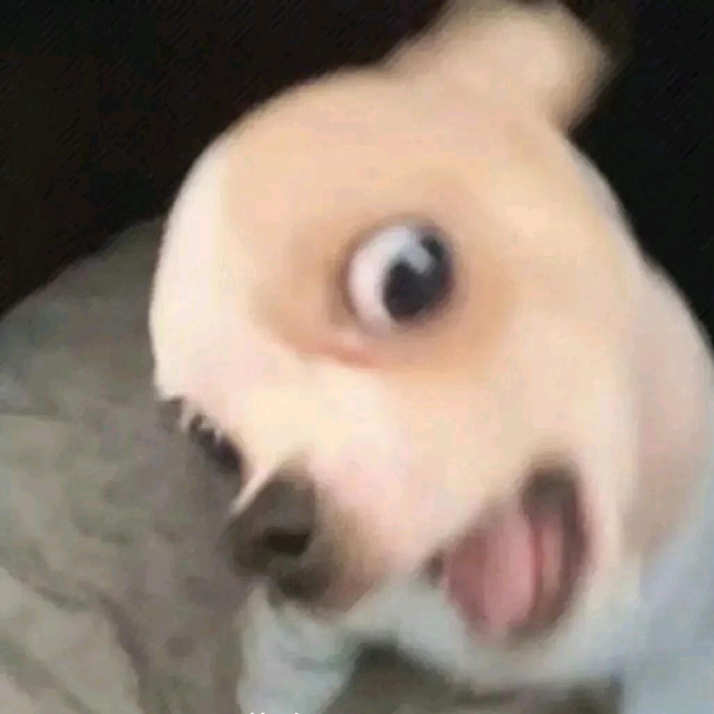 大猩猩