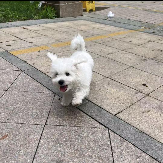 콩.