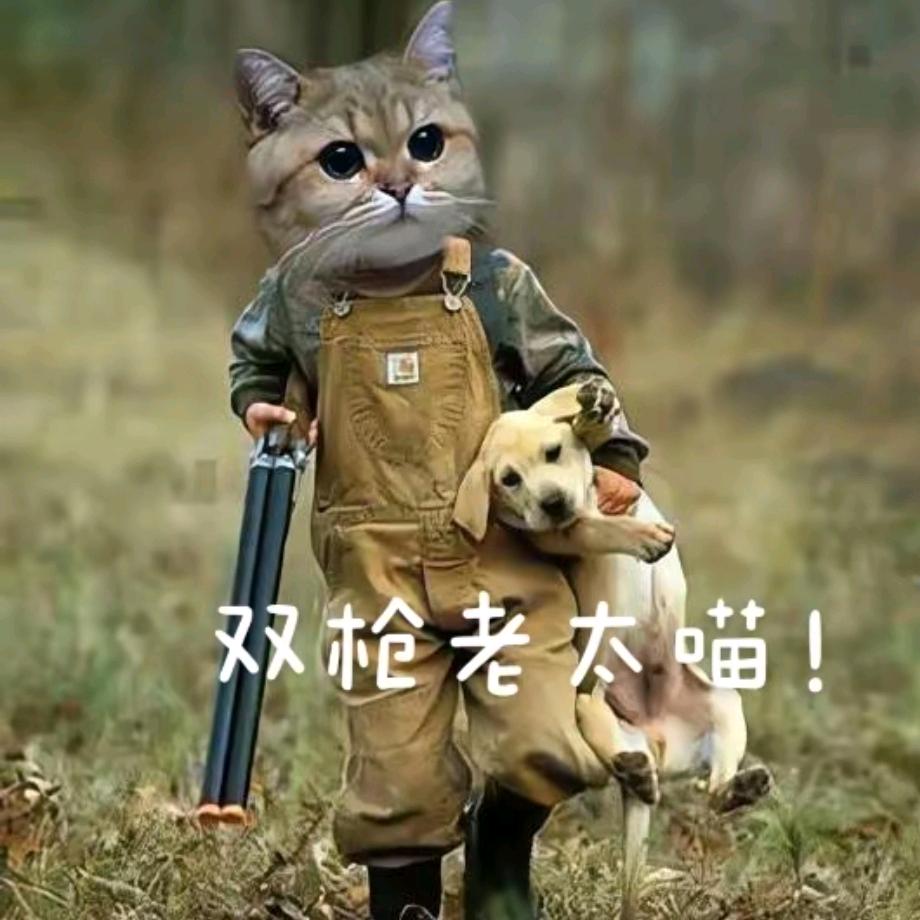 北方的狼