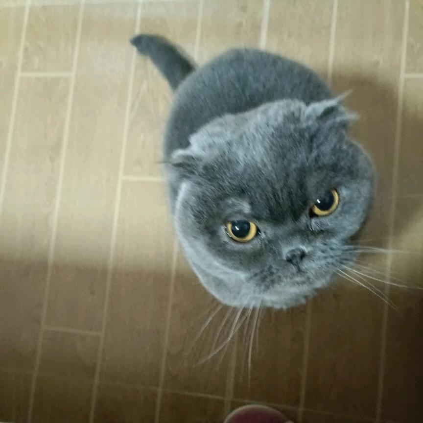 蓝天白云