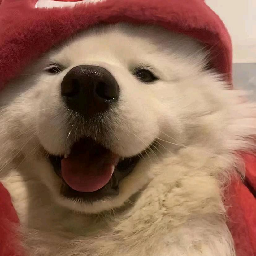 蓝绝