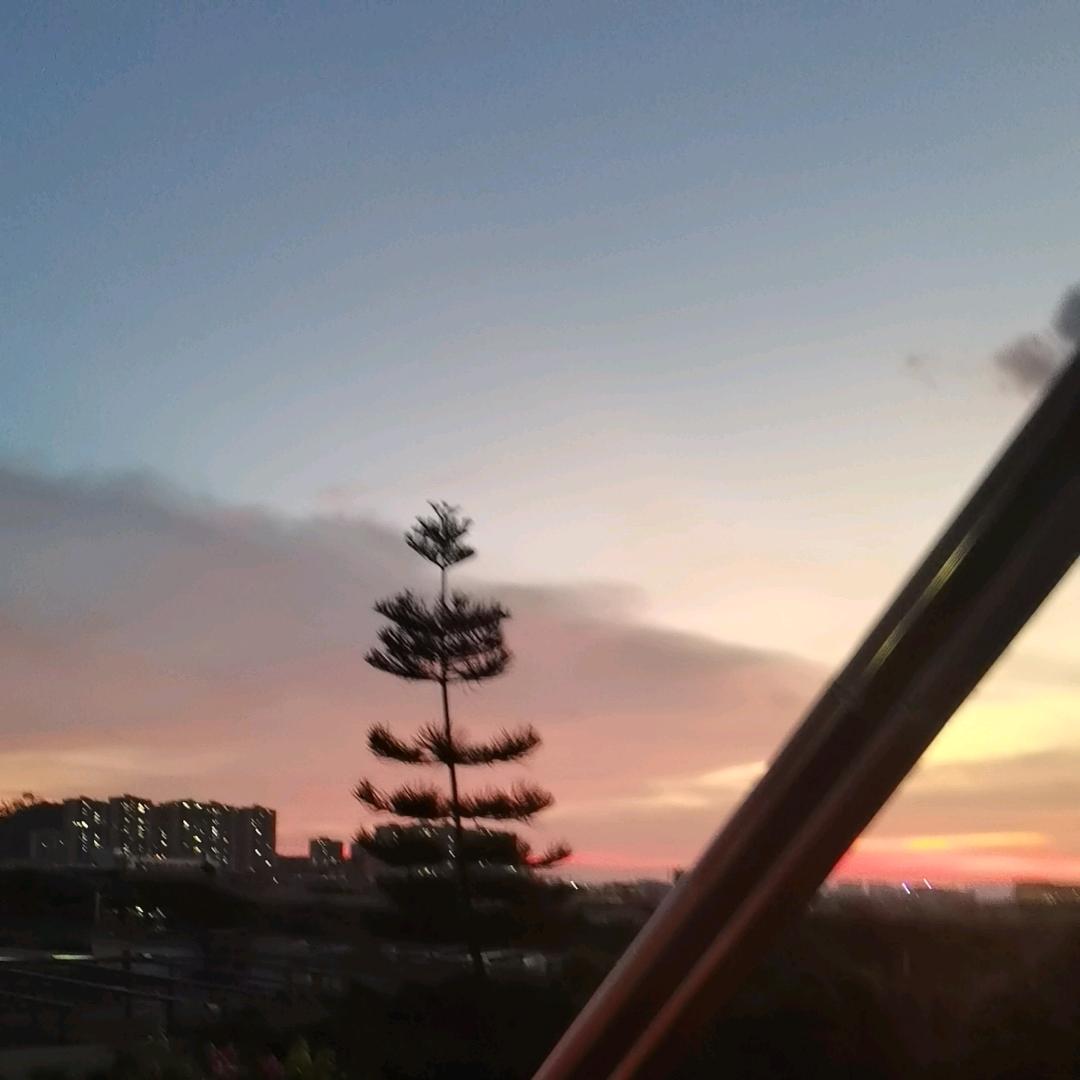上进
