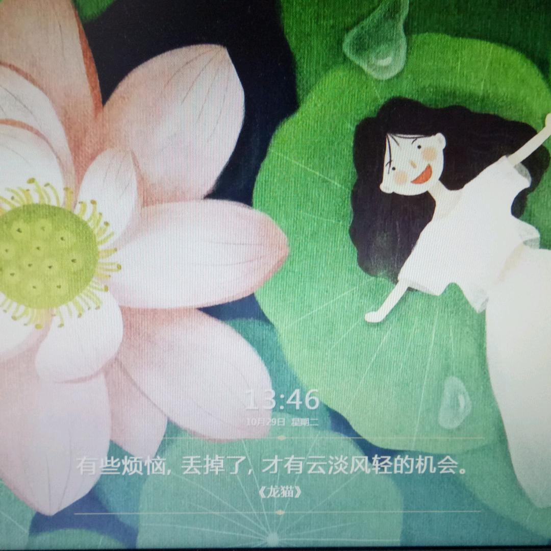 枫叶🍁筱池