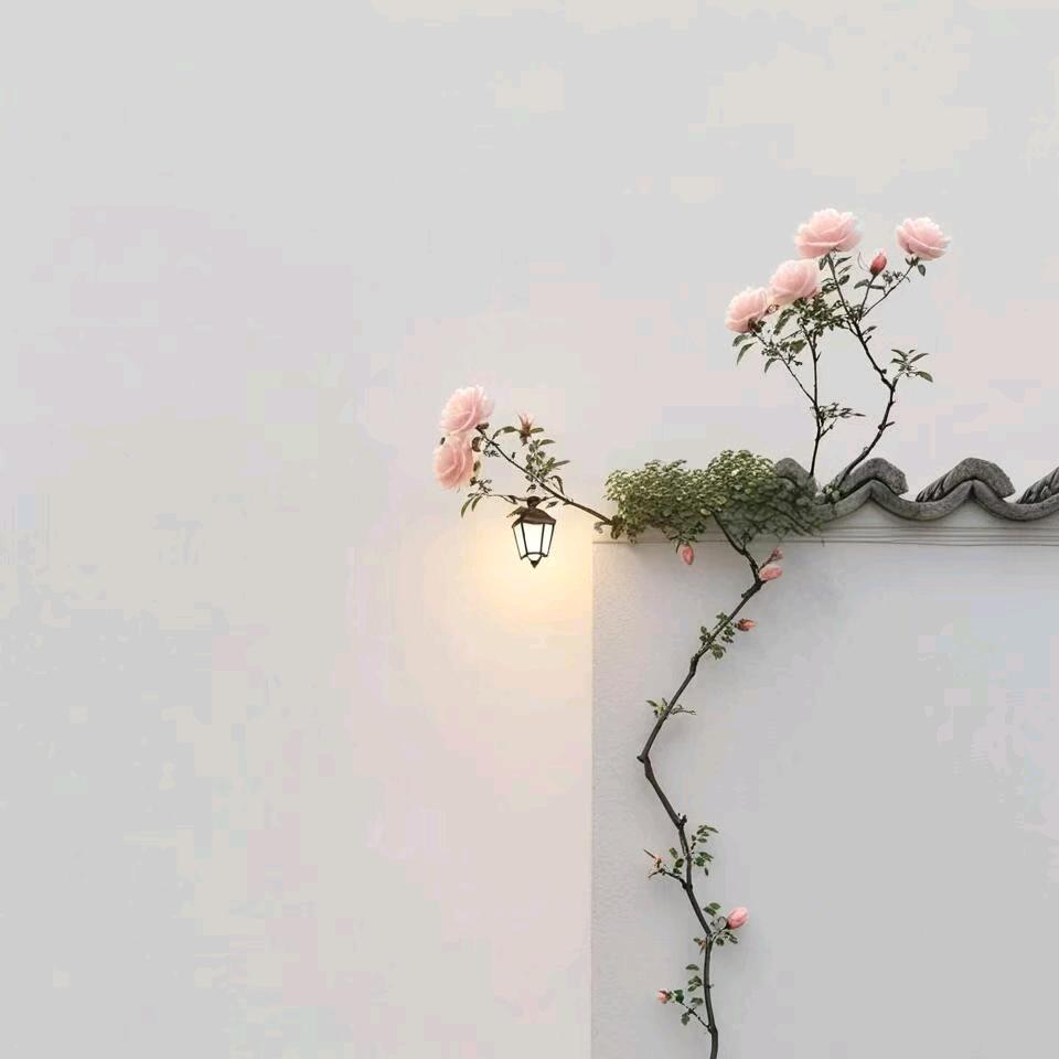 悅筝