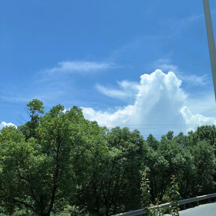 家乡推介官