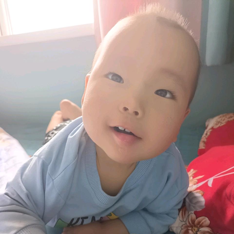 石家庄齐先生