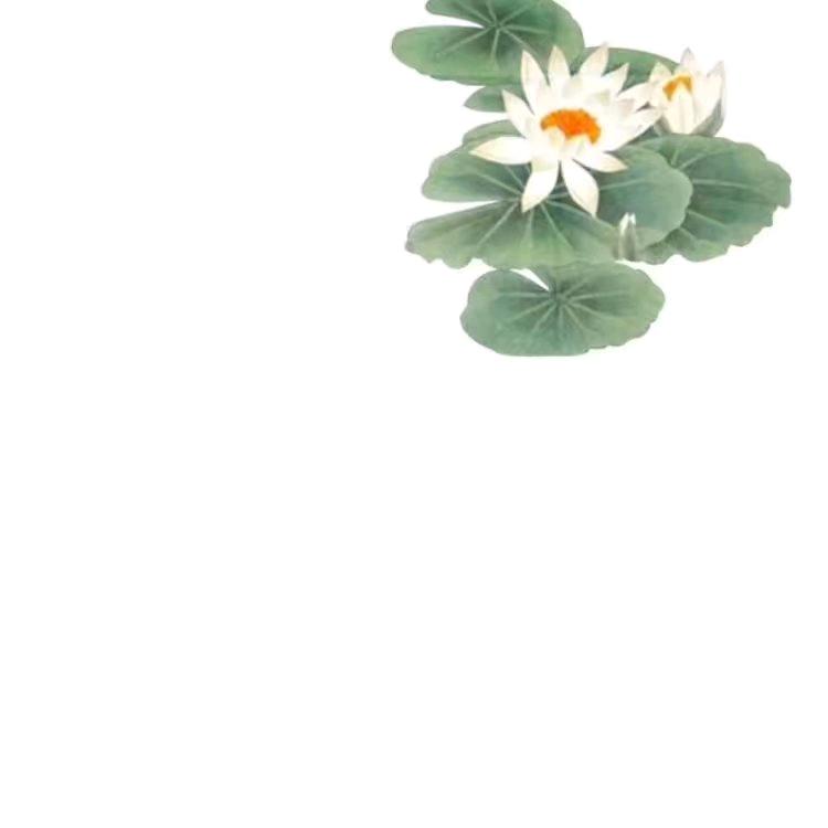 蜀中小杨