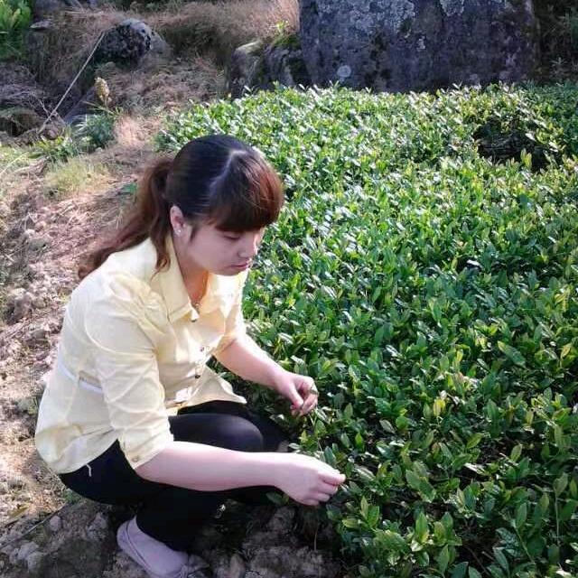 小煊