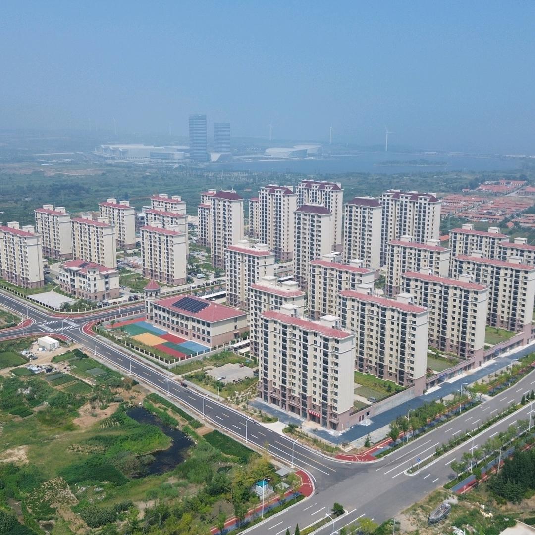 老来福